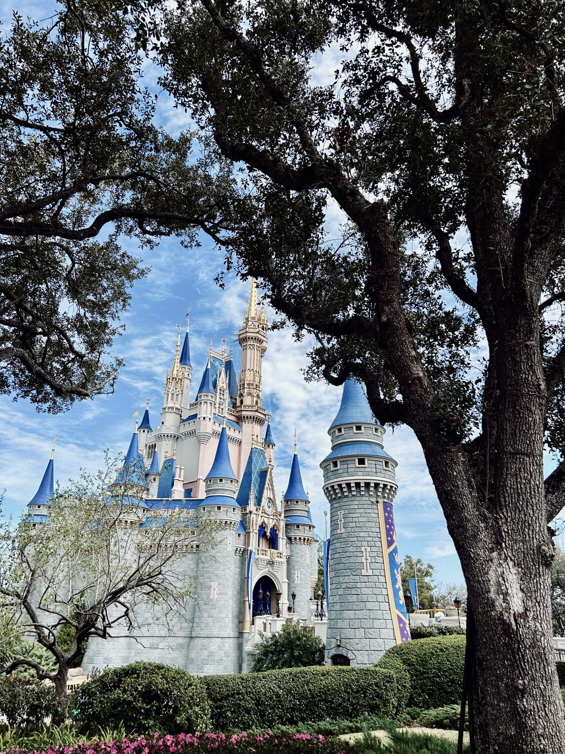 Castle with blue spires peeking through foreground trees on a sunny day